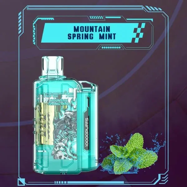 Iget Flare B10000 – Mountain Spring Mint Vape in Pune